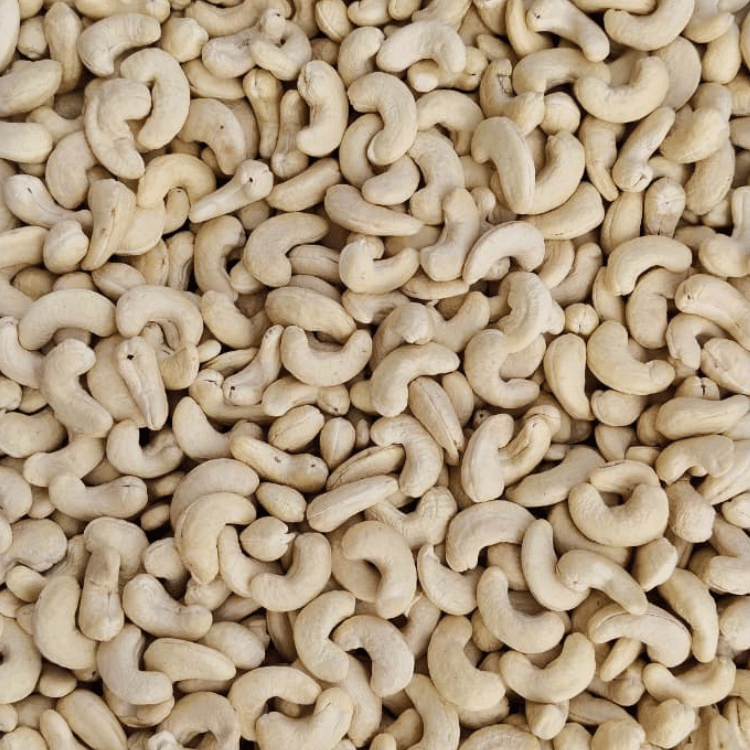 W180 Jumbo Whole Premium Cashew Kernels Wholesale