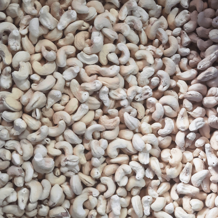 W450 Small Whole Commercial Grade Cashew Nuts